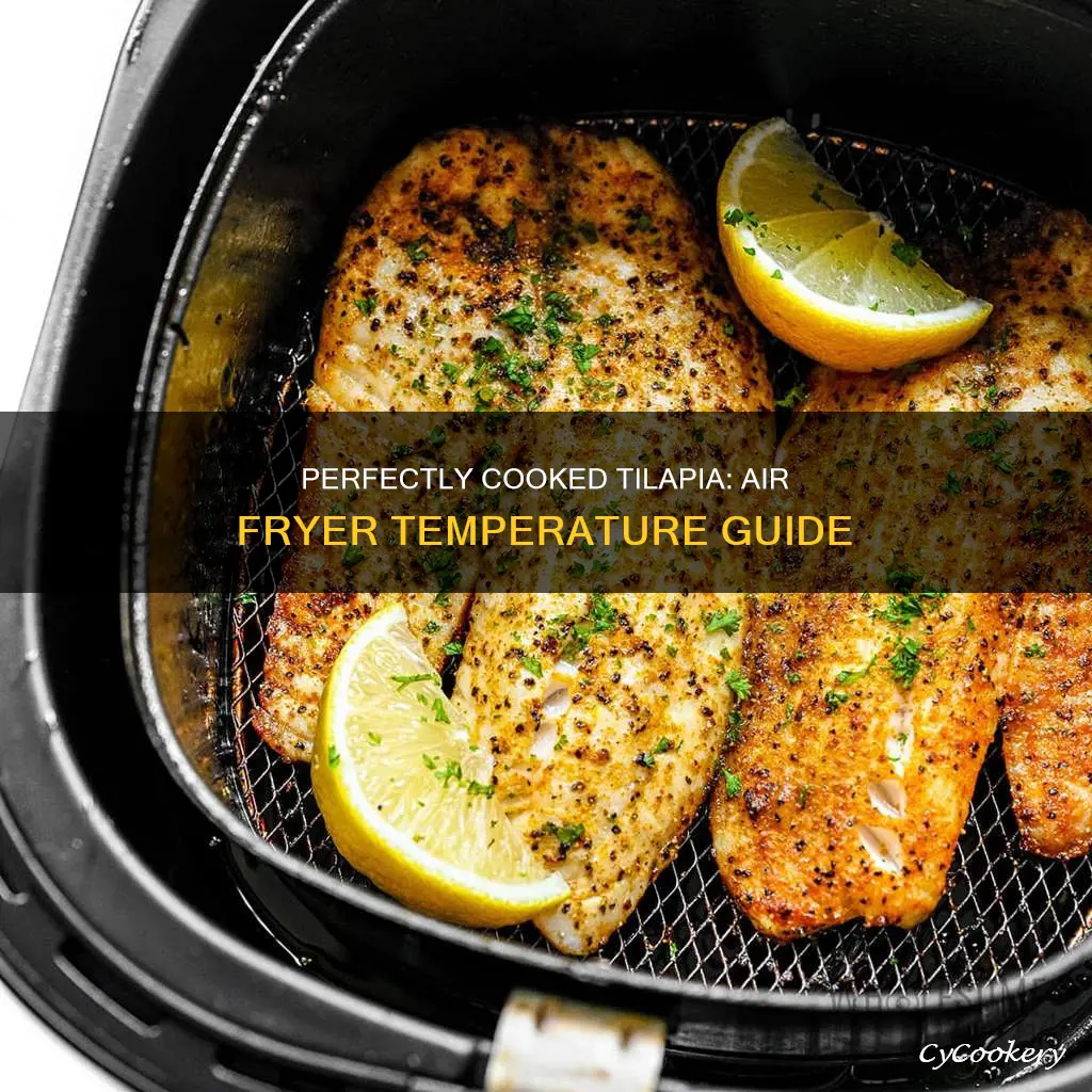 what temperature to cook tilapia in air fryer