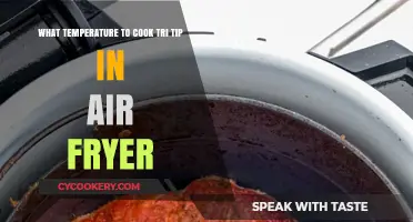 Perfectly Cooked Tri-Tip: Air Fryer Temperature Guide