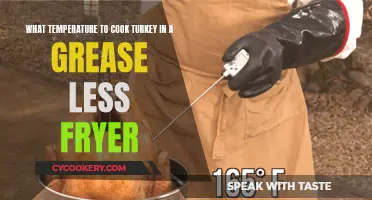 Perfectly Cooking Turkey in a Greaseless Fryer