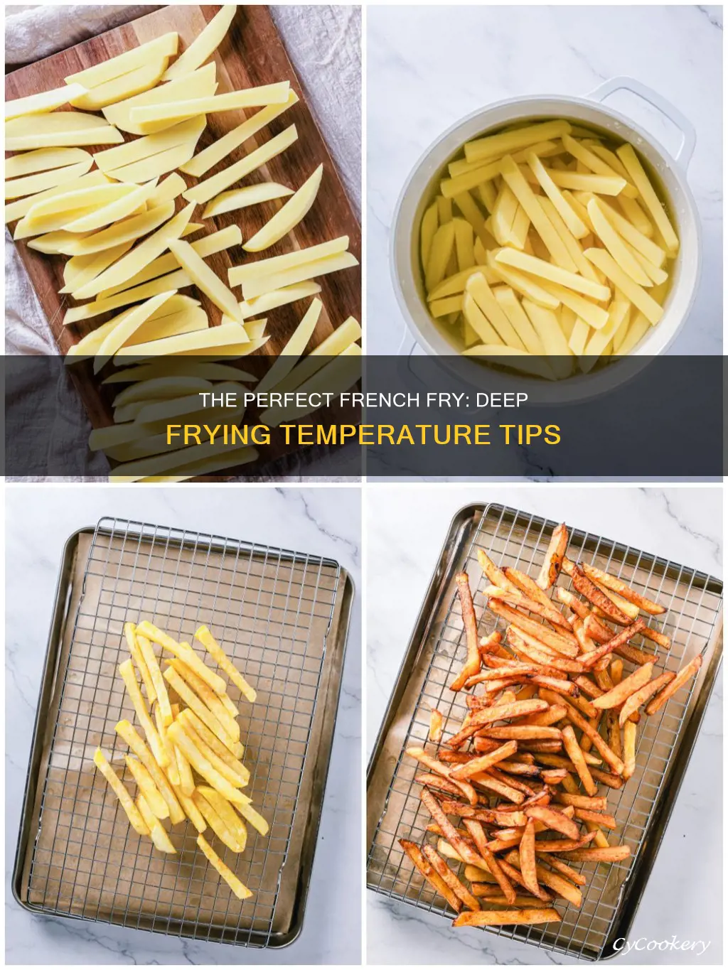 what temperature to make french fries in a deep fryer