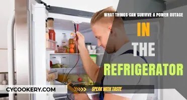 Power Outage Survival: What Stays Fresh in Your Fridge
