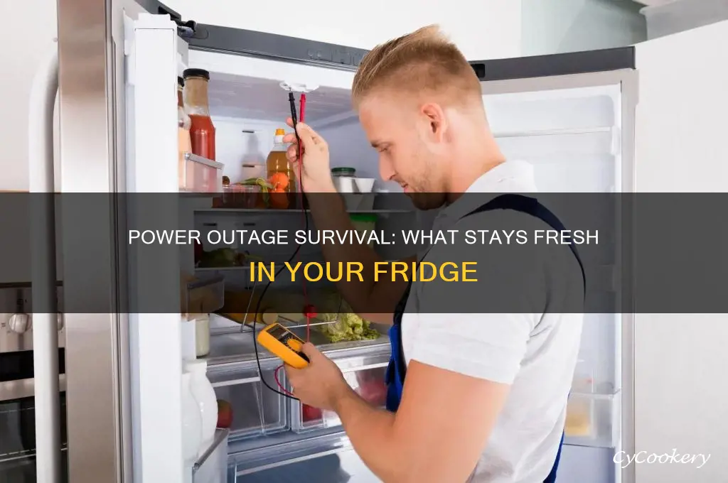 what things can survive a power outage in the refrigerator