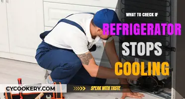 Refrigerator Not Cooling? Essential Checks to Diagnose and Fix the Issue