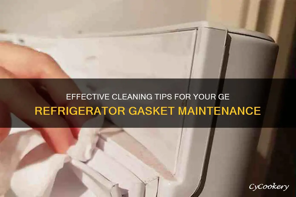 what to clean ge refrigerator gasket with
