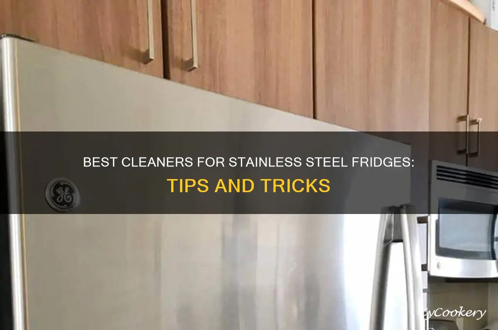 what to clean stainless steel refrigerator with
