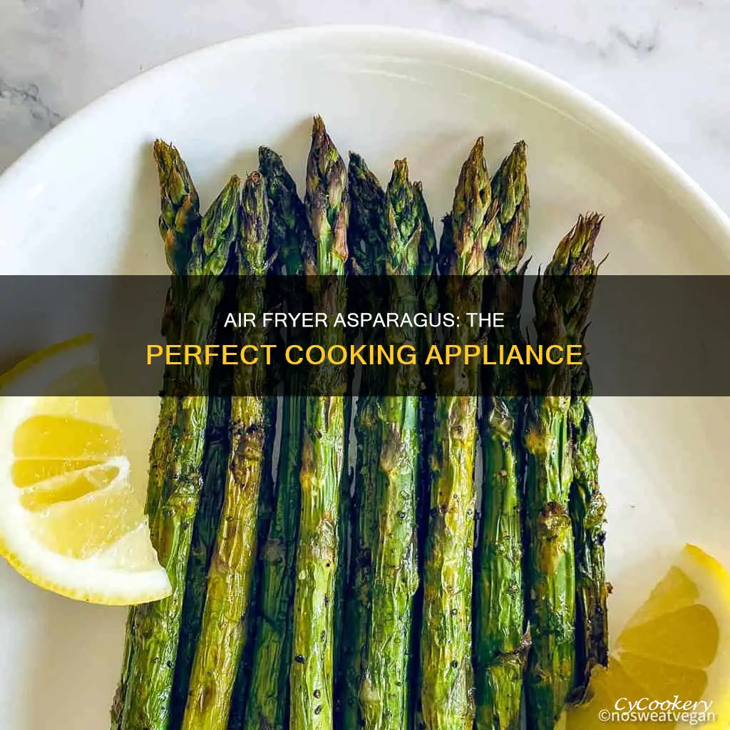 what to cook asparagus on in the air fryer