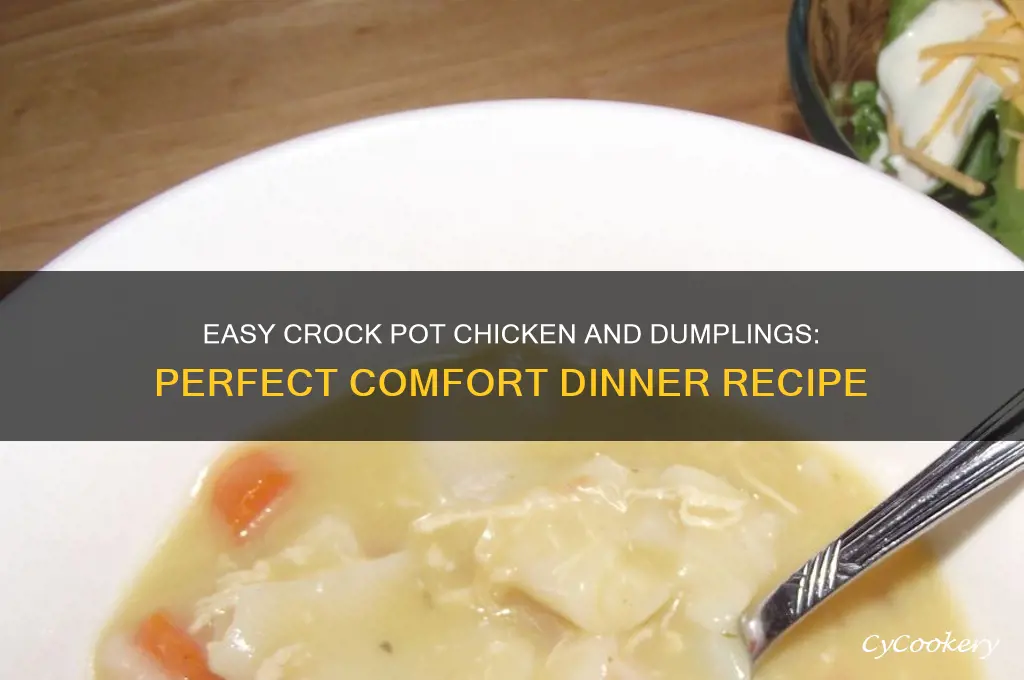 what to cook for dinner crock pot chicken and dumplings