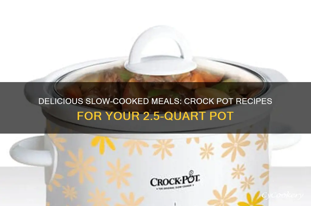 what to cook in a 2 in ahalf crock pot