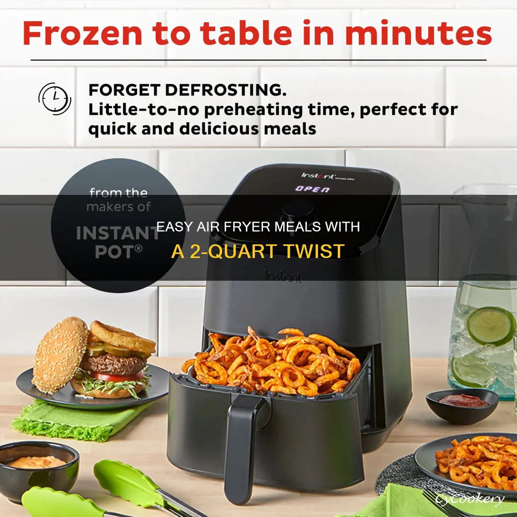 what to cook in a 2 quart air fryer