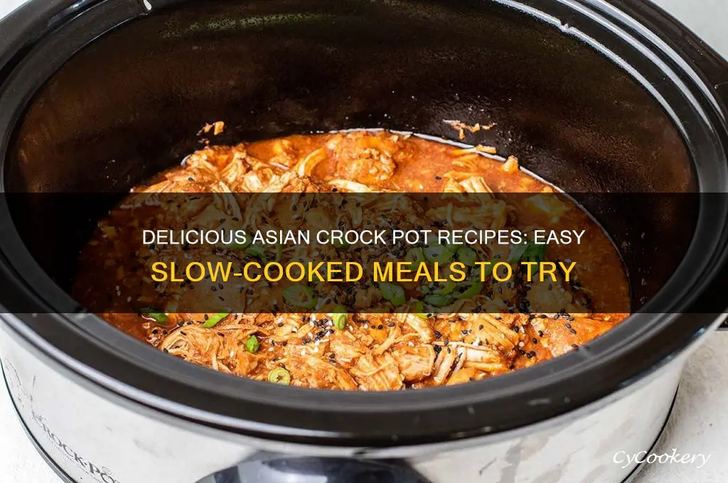 what to cook in a crock pot asian