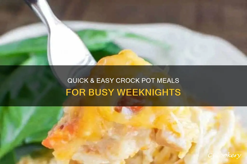 what to cook in a crock pot fast