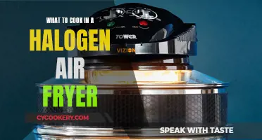 Healthy, Tasty Halogen Air Fryer Recipes for Foodies