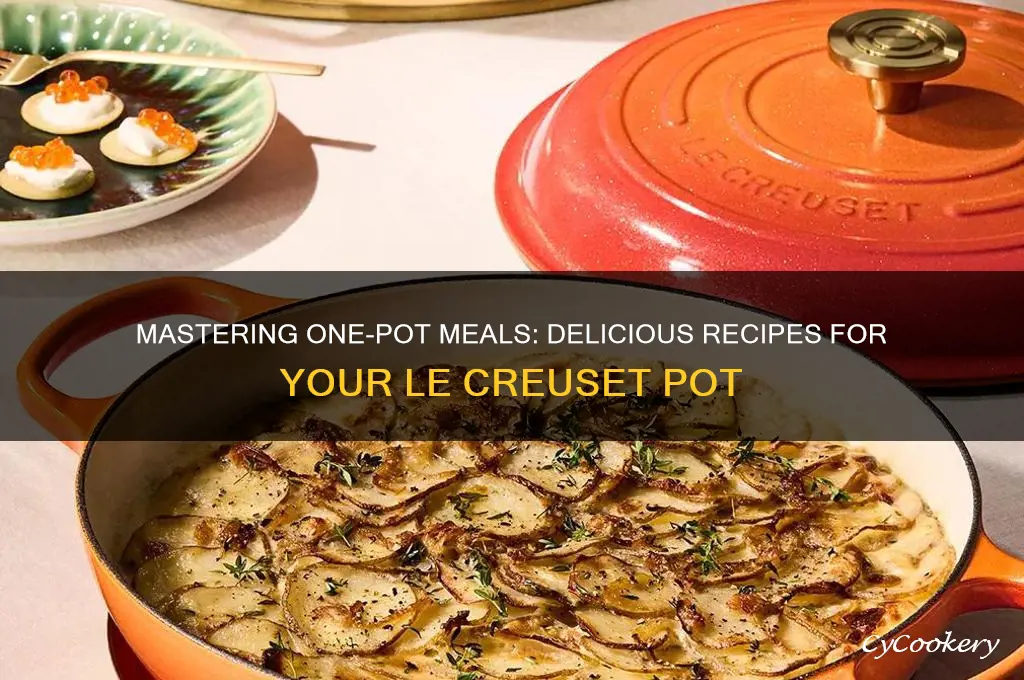 what to cook in a le creuset pot