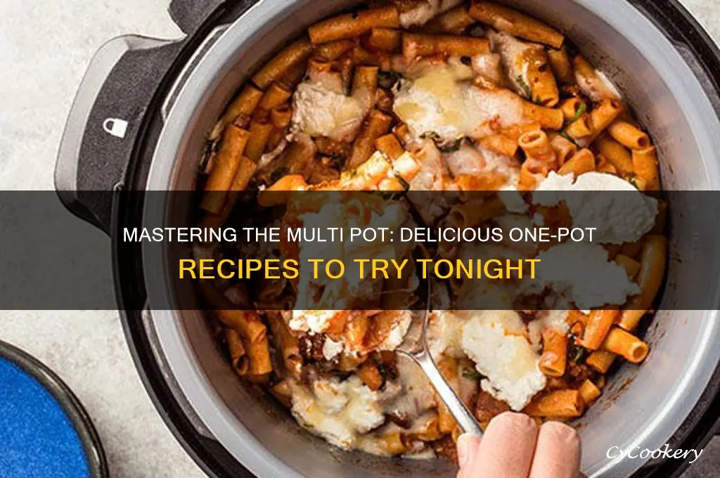 what to cook in a multi pot