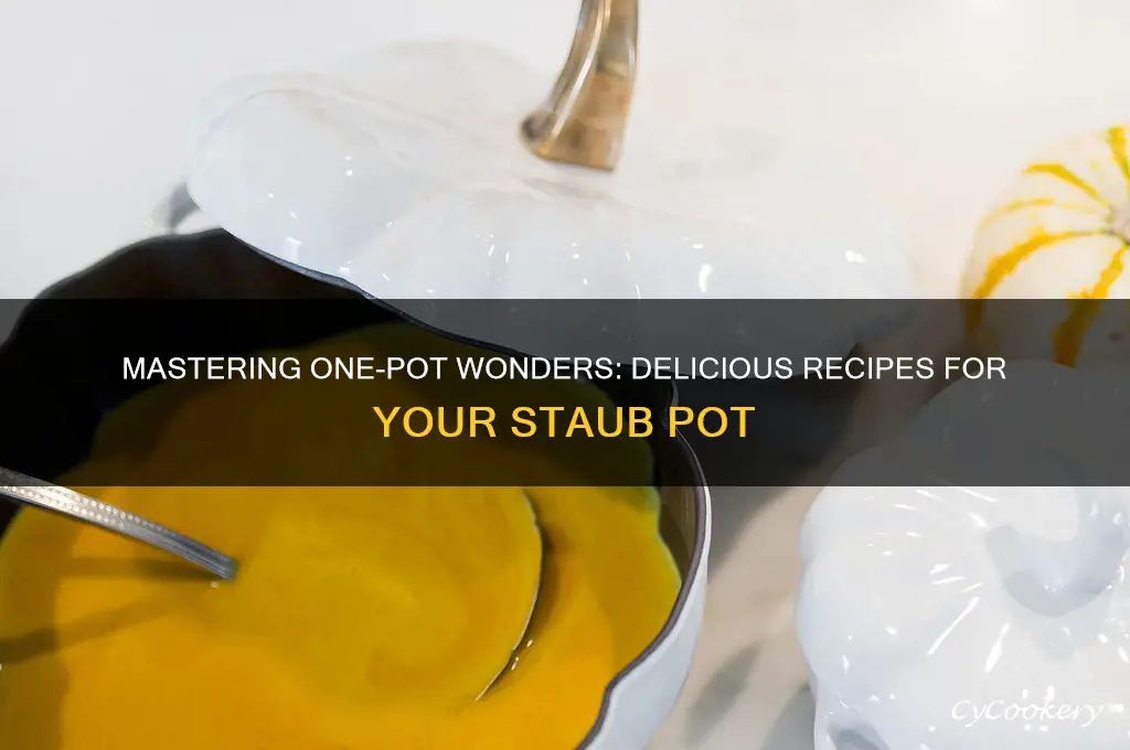 what to cook in a staub pot