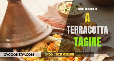 Terracotta Tagine: Delicious, Slow-Cooked Meals for Your Table