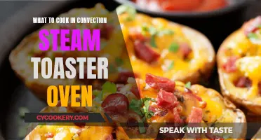 Convection Steam Toaster Ovens: Cooking Versatile Meals at Home