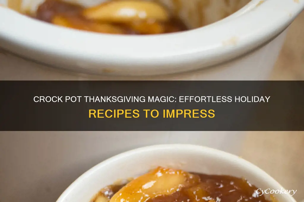 what to cook incrock pot for thanksgving