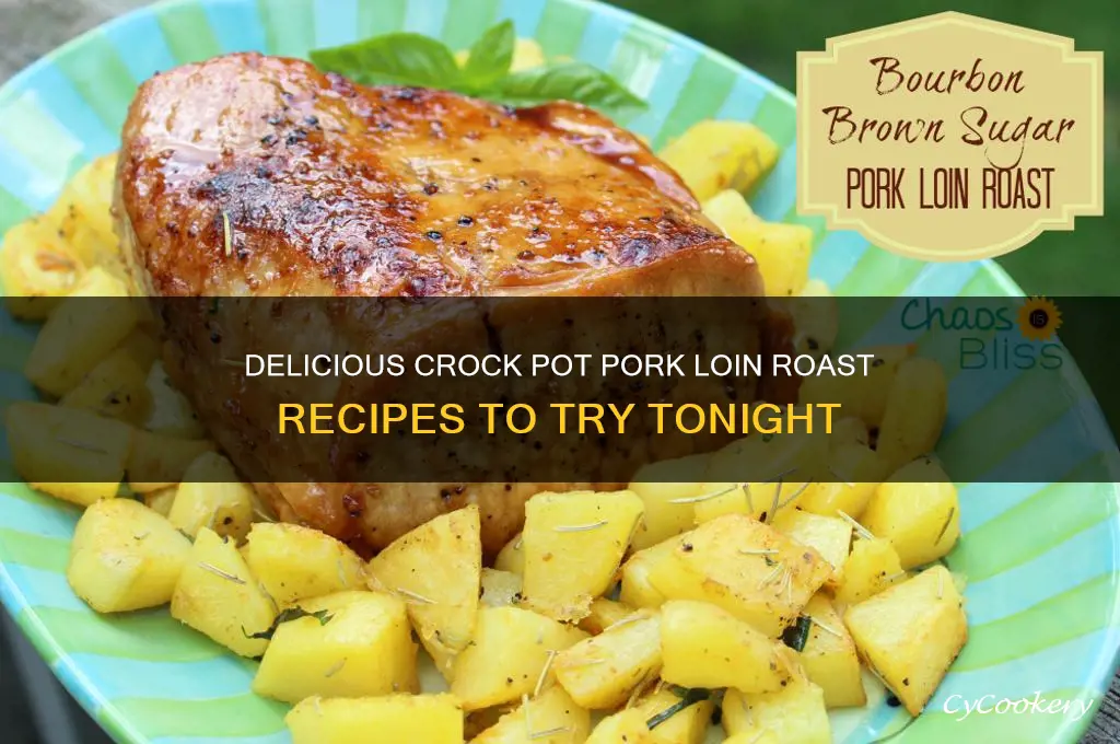 what to cook with a crock pot pork loin roast