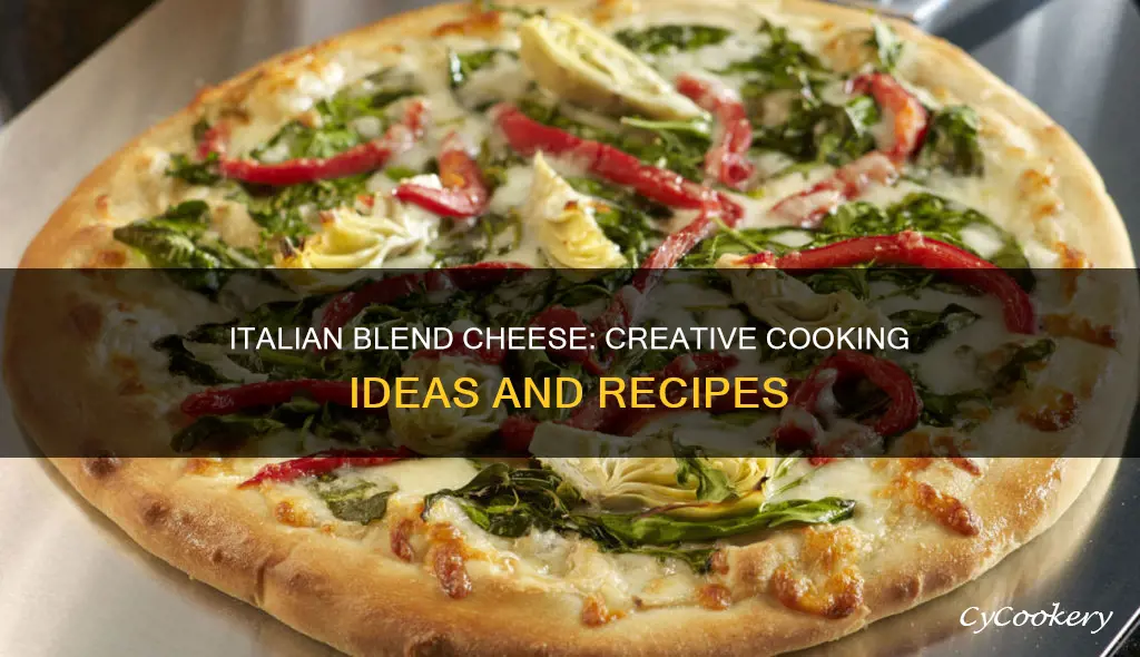 what to cook with italian blend cheese