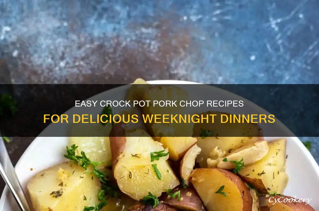 what to cook with pork chops in crock pot