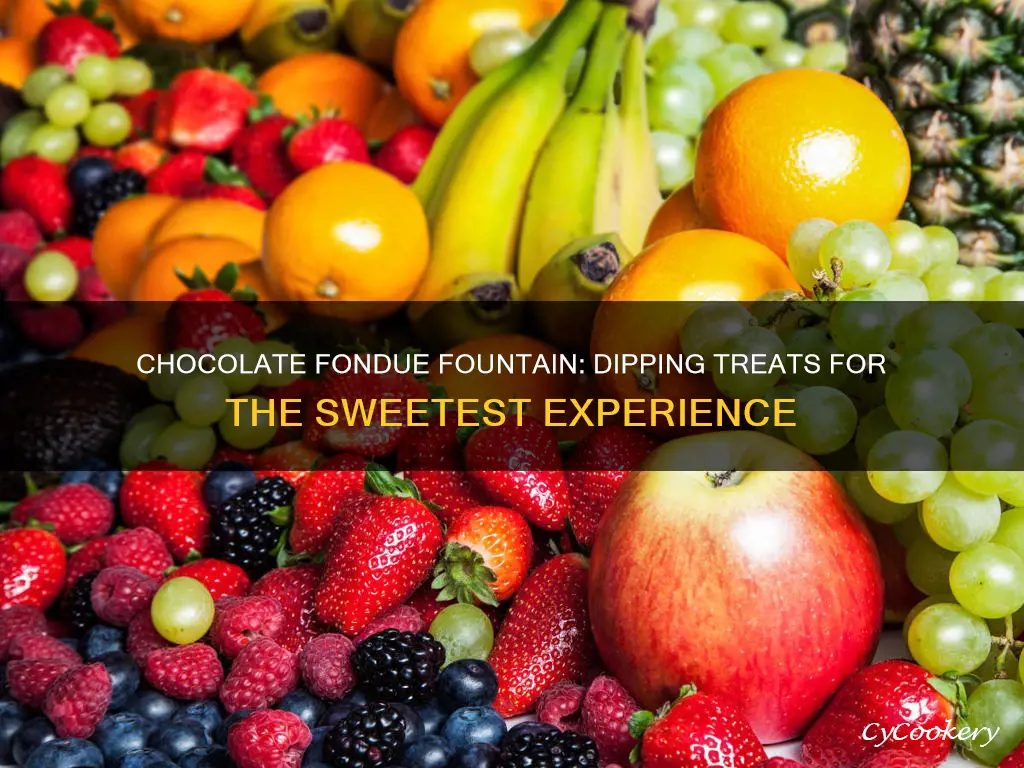 what to dip in chocolate fondue fountain