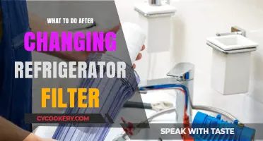 Post-Filter Change: Essential Steps to Optimize Your Refrigerator's Performance