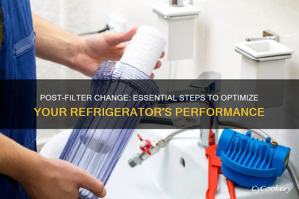 what to do after changing refrigerator filter
