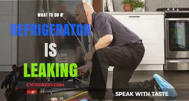 Refrigerator Leaking? Quick Fixes and Solutions to Stop the Mess
