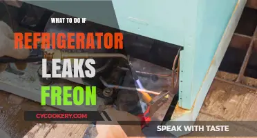 Refrigerator Freon Leak: Quick Steps to Fix and Prevent Damage