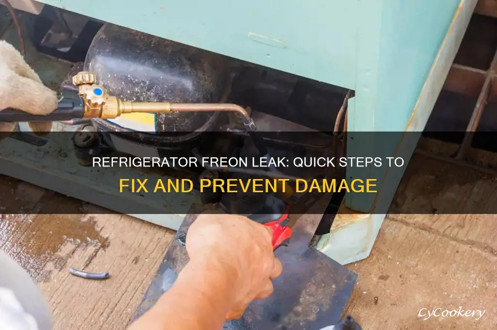 what to do if refrigerator leaks freon