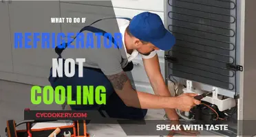 Refrigerator Not Cooling? Quick Fixes and Troubleshooting Tips to Try