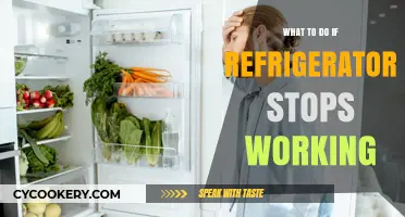 Refrigerator Not Working? Quick Fixes and Emergency Steps to Save Your Food