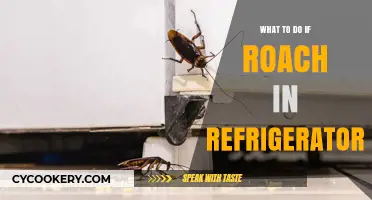 Cockroach in Your Fridge? Quick Steps to Clean and Prevent