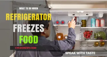 Preventing Frozen Food: Troubleshooting Your Refrigerator's Freezing Issue