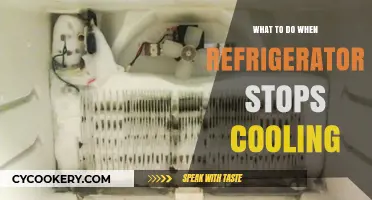 Refrigerator Not Cooling? Quick Fixes and Troubleshooting Tips to Try