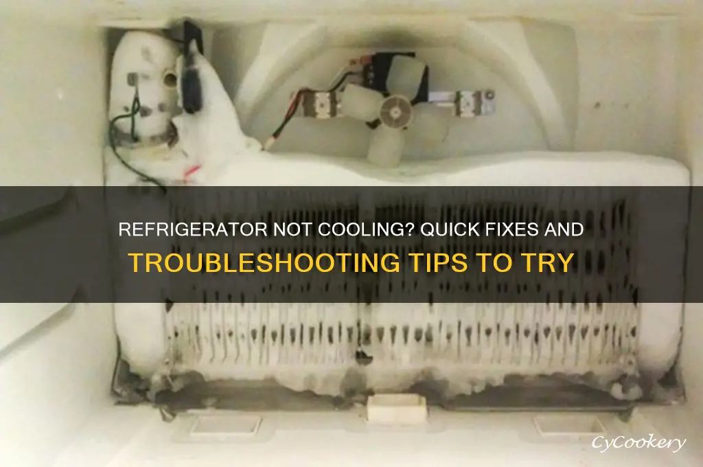what to do when refrigerator stops cooling