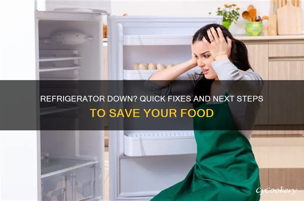 what to do when your refrigerator breaks