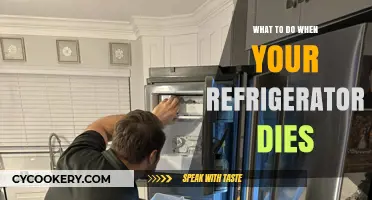 Refrigerator Breakdown: Quick Fixes and Next Steps to Save Your Food