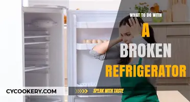 Fix, Recycle, or Replace: Solutions for Your Broken Refrigerator
