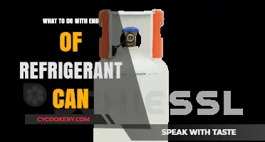 Eco-Friendly Tips: Proper Disposal and Recycling of Empty Refrigerant Cans