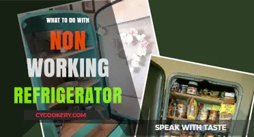 Revive or Recycle: Creative Solutions for Your Broken Fridge