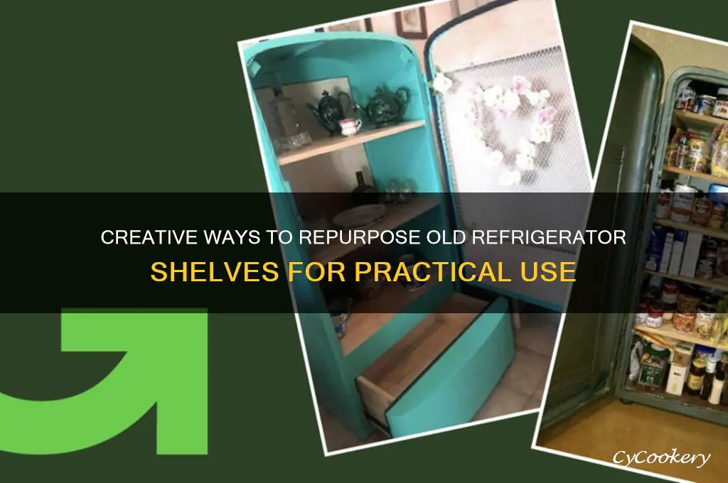 what to do with old refrigerator shelves
