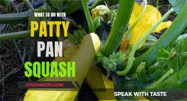 Creative Patty Pan Squash Recipes You Should Try