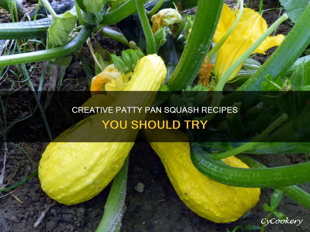 what to do with patty pan squash