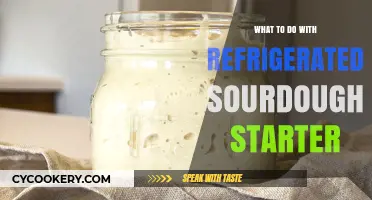 Revive and Use Your Refrigerated Sourdough Starter: Creative Ideas and Tips