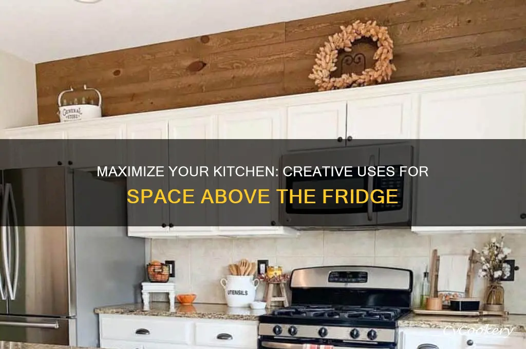 what to do with space above refrigerator