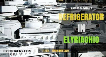 Eco-Friendly Ways to Dispose of Your Old Refrigerator in Elyria, Ohio