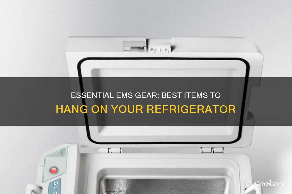what to hang on refrigerator for ems