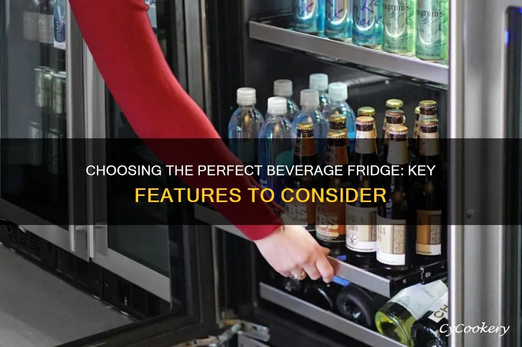 what to look for in a beverage refrigerator